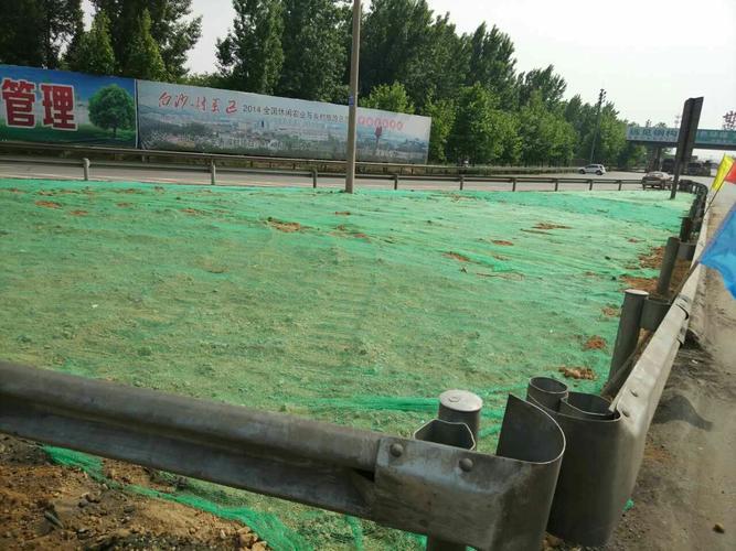 邯郸市园林局快速推进309国道绿化提升工程